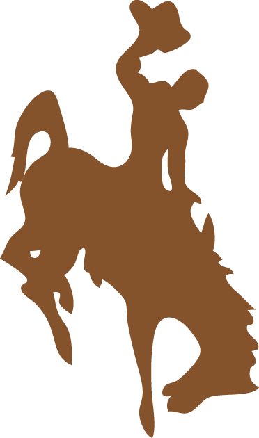 Wyoming Cowboys 1965-2005 Primary Logo diy fabric transfer